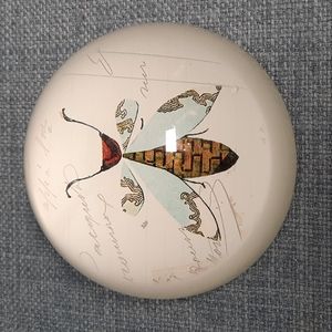 Glass Paperweight Honey Bumblebee Bee Round Writing Desk Accessory Teacher